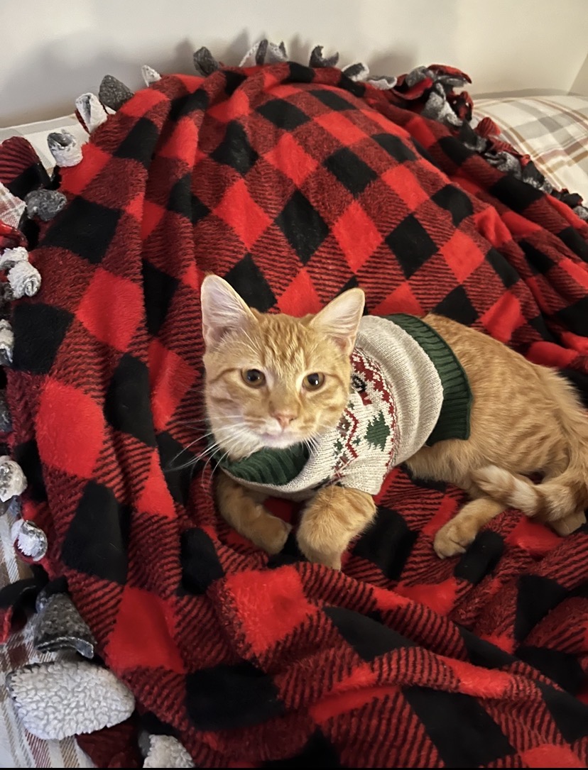 ChristmasAres
